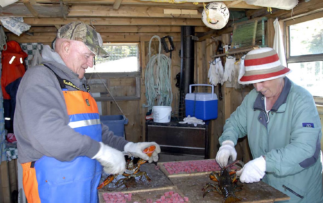 Wiegen, messen und f&uuml;r gut befunden: