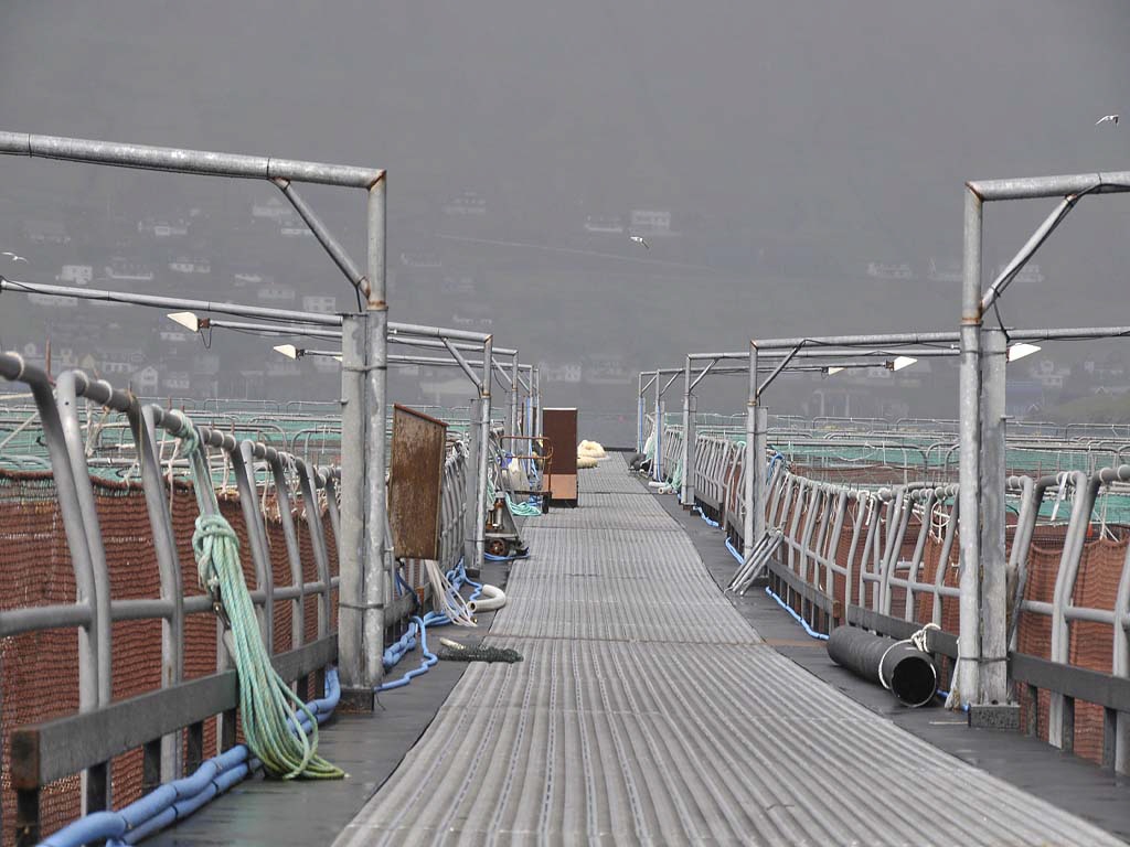 Lachs- und Forellenfarm auf den Far&ouml;er Inseln